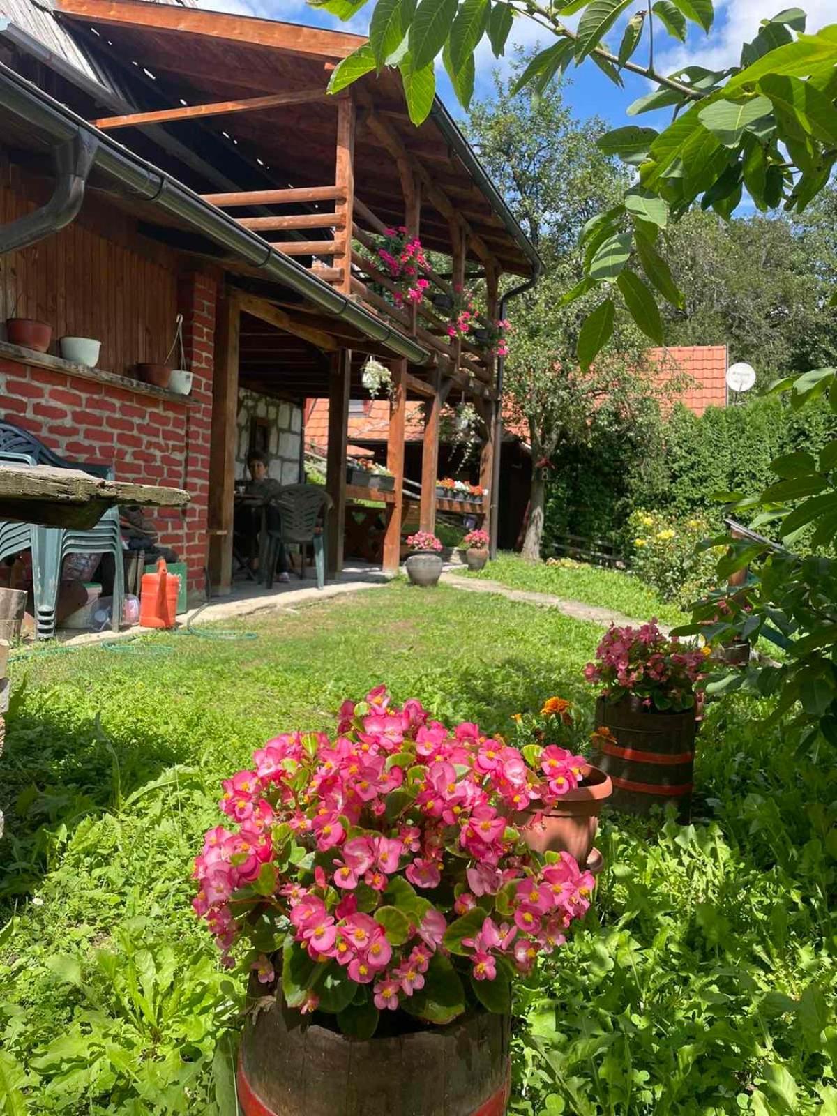 Apartamento Dedina Kuca 1937 Mokra Gora Exterior foto